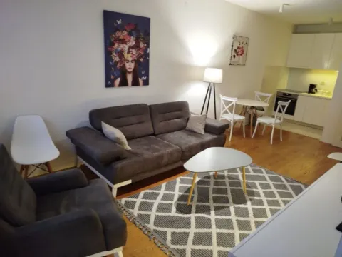 Izdavanje, jednosoban stan, 47m², Central Point, Podgorica - image 1