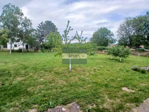 Prodaja, plac, 1500m², Trnava, Jagodina - image 15