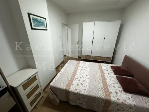 Izdavanje, dvosoban stan, 48m², Voždovac Sve Podlokacije, Beograd - image 8