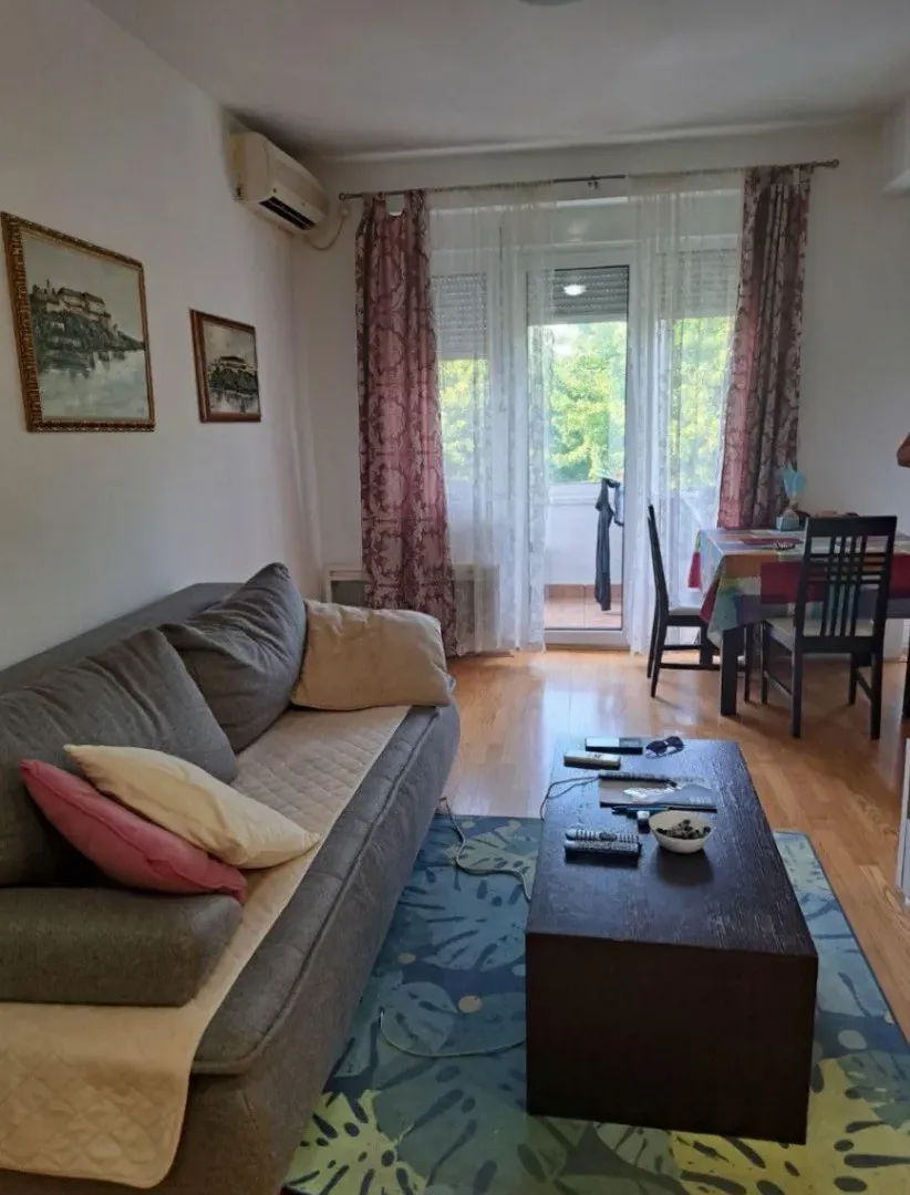 Izdavanje, jednosoban stan, 45m², Preko Morače, Podgorica