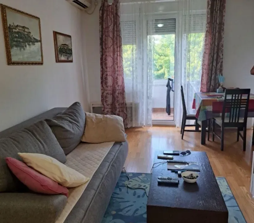 Izdavanje, jednosoban stan, 45m², Preko Morače, Podgorica