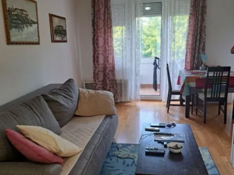 Izdavanje, jednosoban stan, 45m², Preko Morače, Podgorica