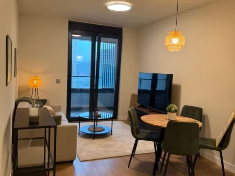 Rent, two bedroom apartment, 47m², Novi Beograd Blok 65, Novi Beograd Sve Podlokacije - image 7