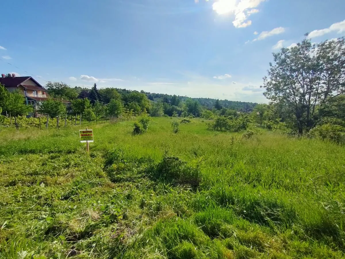 Prodaja, plac, 5000m², Ledinci, Petrovaradin