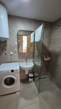 Bathroom equipped with a washbasin, walk-in shower, and washing machine. - image 23