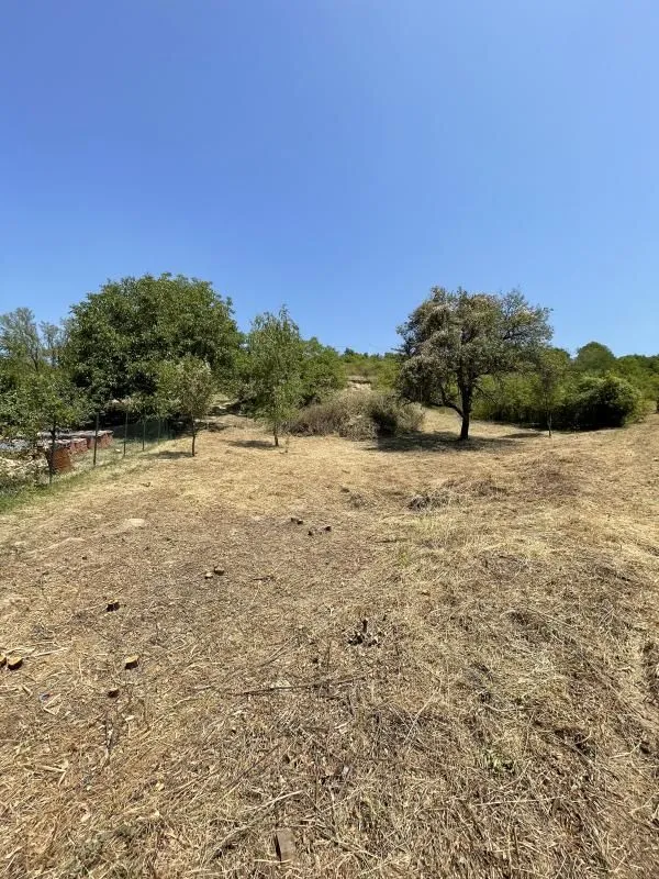 Prodaja, plac, 1500m², Rakovac, Novi Sad Sve Podlokacije