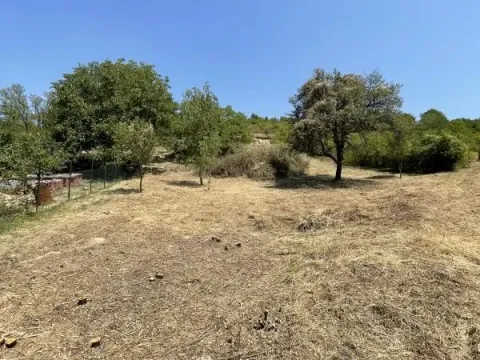 Prodaja, plac, 1500m², Rakovac, Novi Sad Sve Podlokacije - image 5