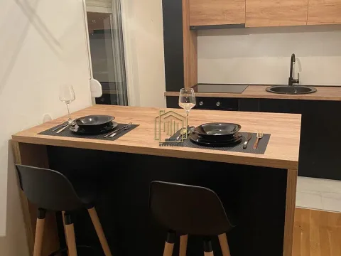 Izdavanje, jednosoban stan, 50m², Stari Aerodrom, Podgorica - image 2