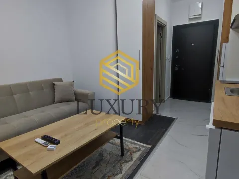 Rent, studio apartment, 20m², Zabjelo, Podgorica - image 1