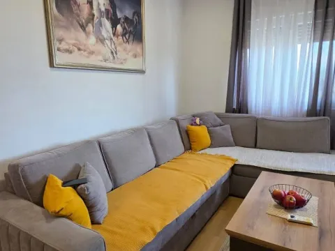 Prodaja, jednosoban stan, 46m², Pobrežje, Podgorica - image 2