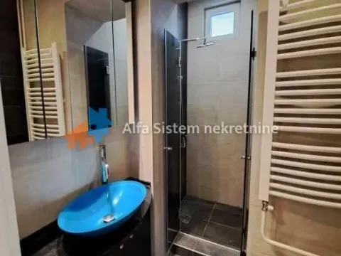 Izdavanje, stan, 56m², Savski Venac, Beograd - image 12