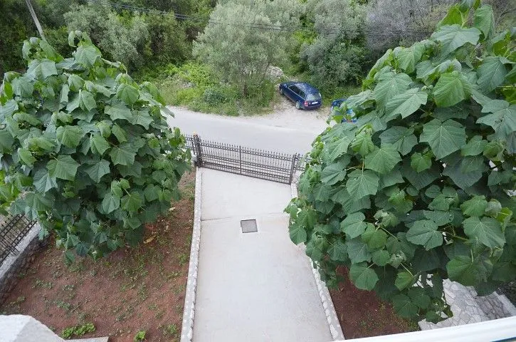 Pogled sa balkona na prilaz i kapiju sa bujnim zelenilom.