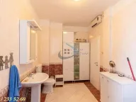 Prodaja, kuća, 491m², Zvezdarska Šuma, Zvezdara Sve Podlokacije - image 14