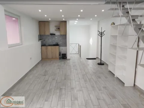 Sale, two bedroom apartment, 59m², Profesorska Kolonija, Palilula Sve Podlokacije - image 2