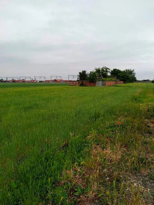 Prodaja, plac, 9700m², Batajnica, Beograd