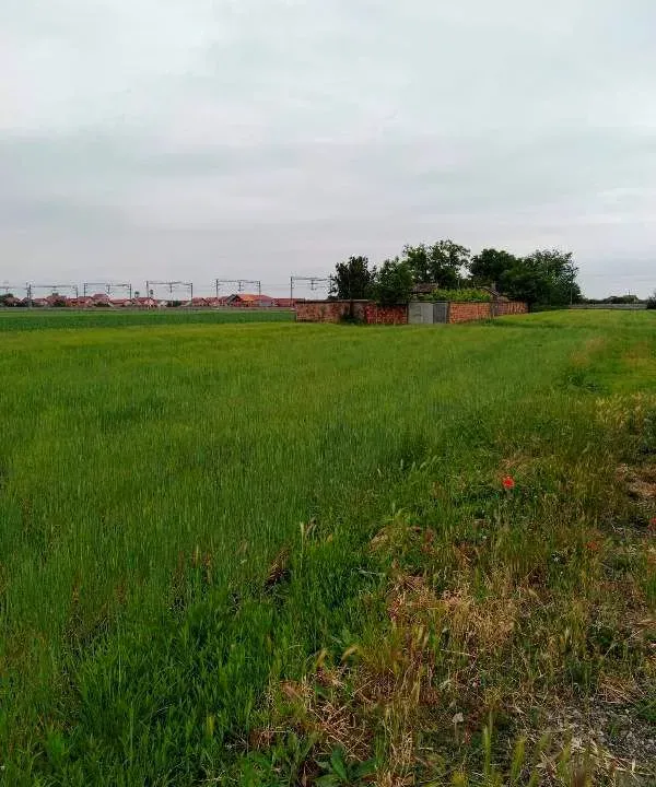 Prodaja, plac, 9700m², Batajnica, Beograd