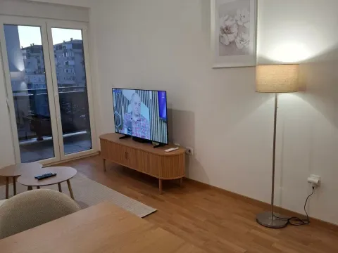 Izdavanje, jednosoban stan, 47m², Pobrežje, Podgorica - image 9