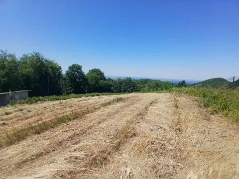 Zemljište in Jagodina