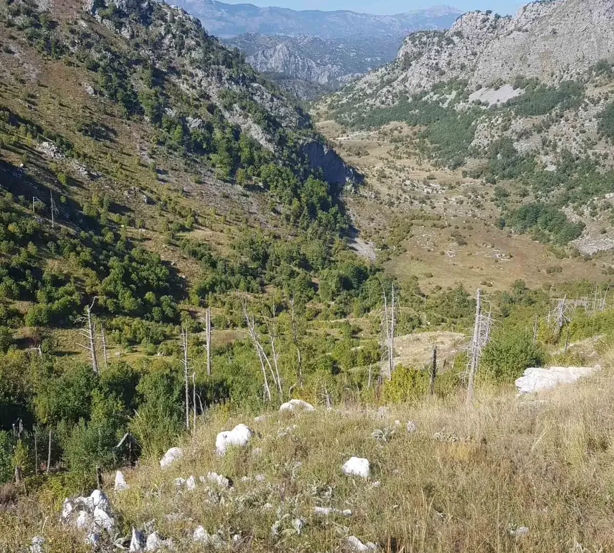 Prodaja, plac, 725000m², Podgorica, Crna Gora