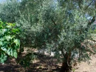 Sale, house, 104m², Baošići, Herceg Novi - image 7