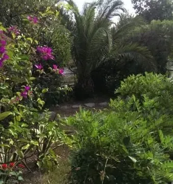 Prodaja, kuća, 700m², Krašići, Tivat - image 9