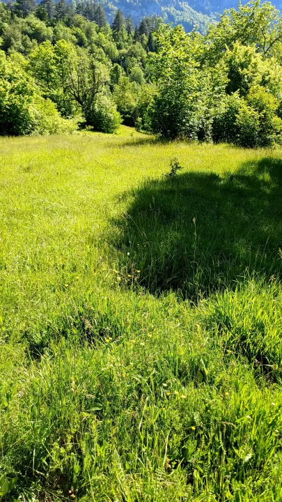 Prodaja, plac, 3000m², Tepca, Žabljak