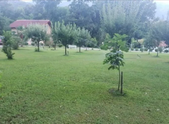 Prodaja, plac, 8500m², Frutak, Danilovgrad