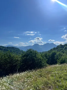 Prodaja, plac, 225105m², Raško, Kolašin - image 5