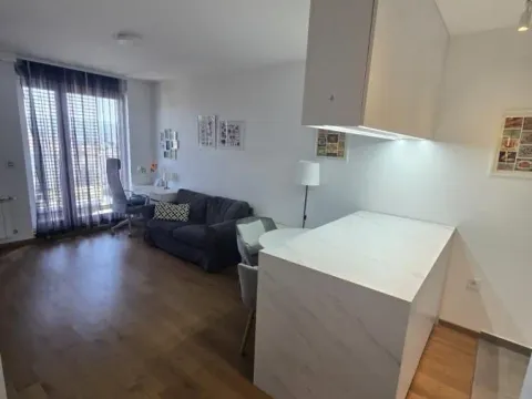 Rent, one bedroom apartment, 43m², Bulevar Evrope, Novi Sad Sve Podlokacije - image 5