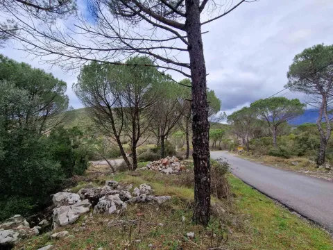 Prodaja, plac, 1150m², Zagora, Kotor - image 7
