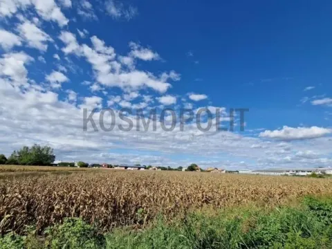 Prodaja, plac, 17300m², Zemun Sve Podlokacije, Beograd - image 6
