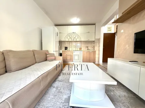 Izdavanje, jednosoban stan, 35m², Stari Aerodrom, Podgorica - image 2