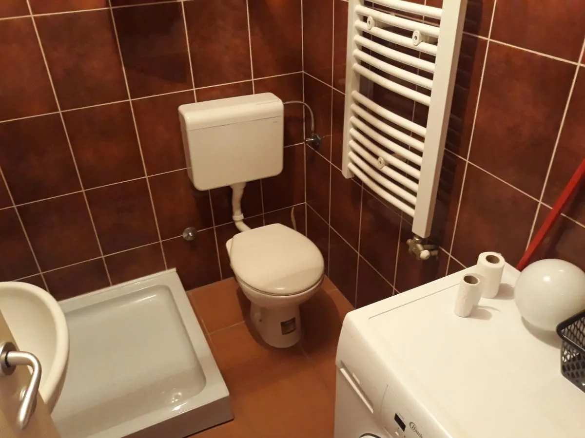 Izdavanje, jednosoban stan, 32m², Bulevar patrijarha Pavla, Novi Sad Sve Podlokacije