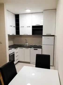 Izdavanje, jednosoban stan, 44m², Zagorič, Podgorica - image 3
