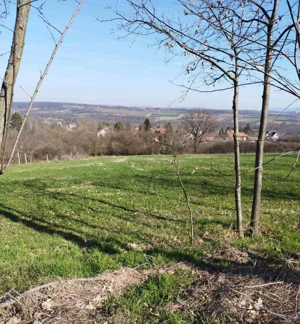 Prodaja, plac, 4141m², Veliki Borak, Barajevo