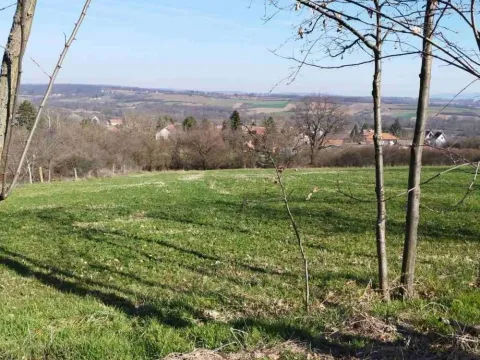 Prodaja, plac, 4141m², Veliki Borak, Barajevo - image 4