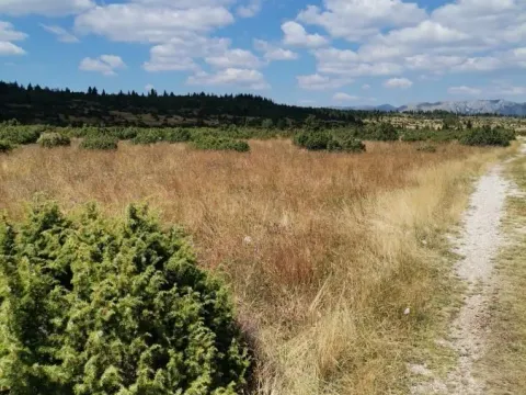 Prodaja, plac, 35800m², Žabljak, Crna Gora - image 5