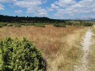 Prodaja, plac, 35800m², Žabljak, Crna Gora - image 5