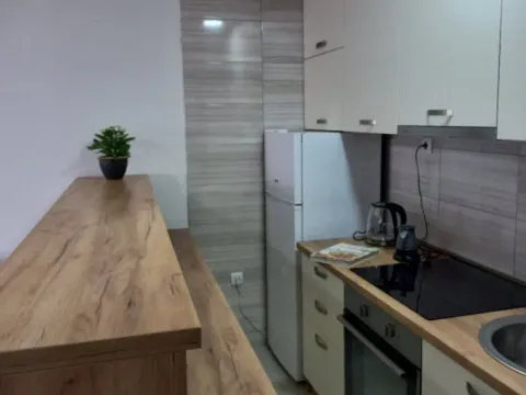 Izdavanje, jednosoban stan, 70m², Centar, Tivat - image 10