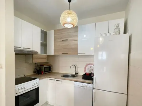 Izdavanje, jednosoban stan, 44m², Zagorič, Podgorica - image 3