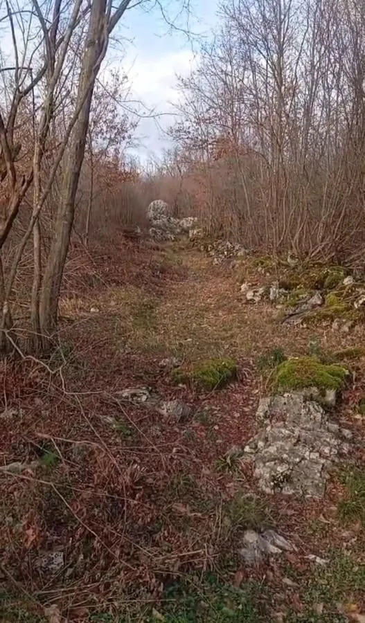 Prodaja, plac, 20000m², Bandići, Danilovgrad