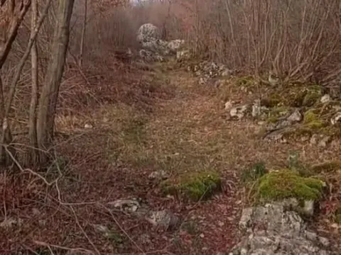 Prodaja, plac, 20000m², Bandići, Danilovgrad - image 3