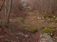 Sale, land lot, 20000m², Bandići, Danilovgrad - image 3