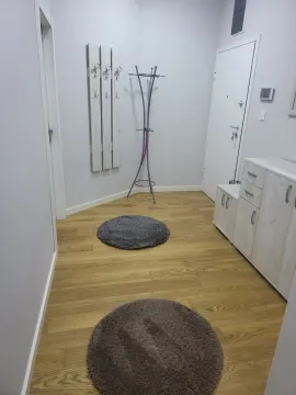 Rent, three bedroom apartment, 78m², Vezirov Most, Podgorica - image 23
