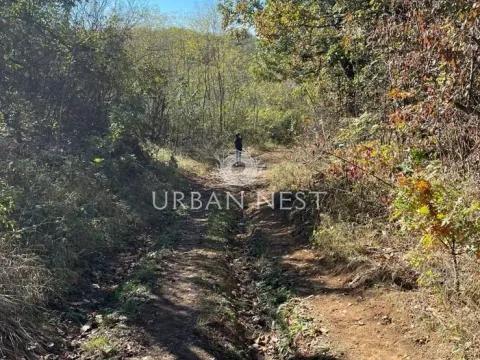 Prodaja, plac, 7092m², Glumčevo brdo, Barajevo - image 3