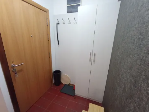 Izdavanje, jednosoban stan, 48m², Preko Morače, Podgorica - image 12