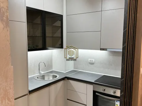 Izdavanje, jednosoban stan, 40m², Central Point, Podgorica - image 3