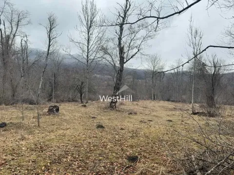 Prodaja, plac, 6500m², Kolašin, Crna Gora - image 2