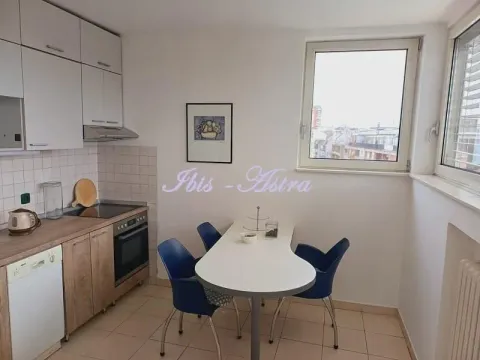 Rent, two bedroom apartment, 60m², Kalenić Pijaca, Vračar Sve Podlokacije - image 8