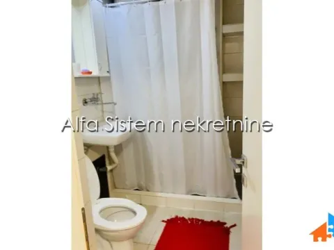 Izdavanje, dvosoban stan, 58m², Botanička Bašta, Palilula Sve Podlokacije - image 8